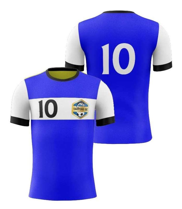 Picture of Custom Made Soccer Game Uniform Jersey with Team Logo and Player Numbers. Style N109J.
