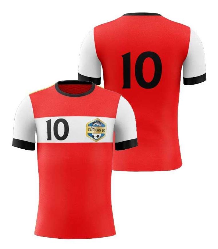 Picture of Custom Made Soccer Game Uniform Jersey with Team Logo and Player Numbers. Style N109J.