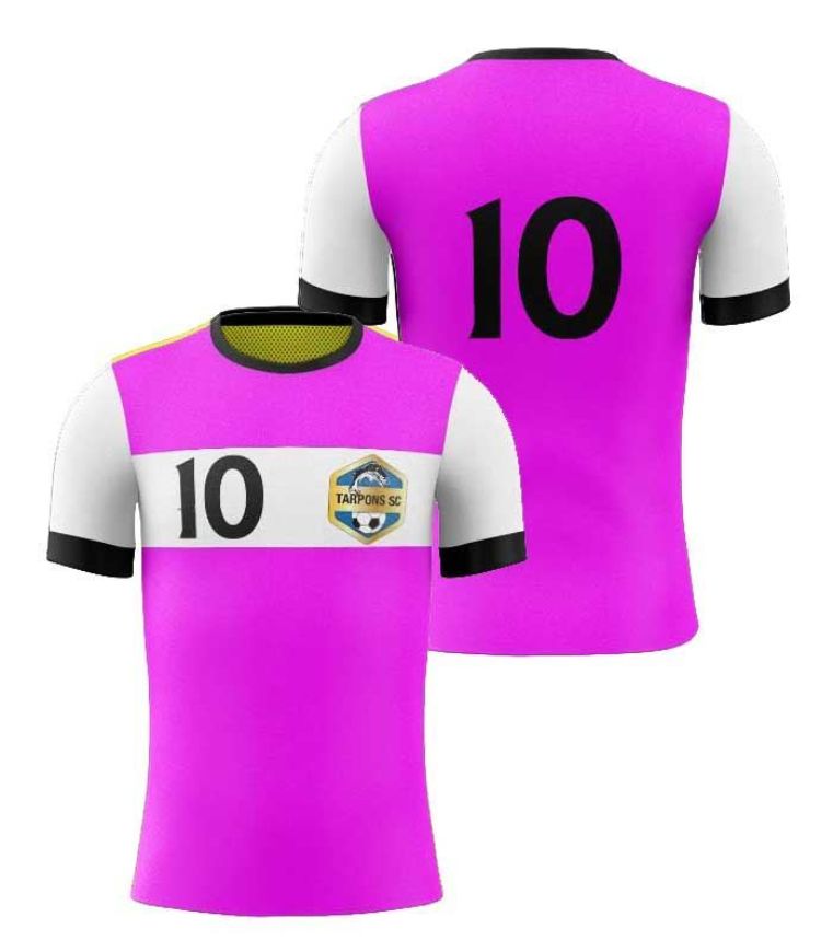 Picture of Custom Made Soccer Game Uniform Jersey with Team Logo and Player Numbers. Style N109J.