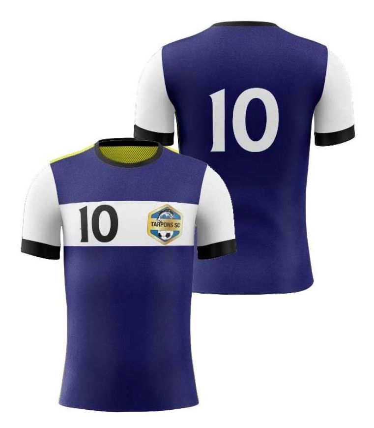 Picture of Custom Made Soccer Game Uniform Jersey with Team Logo and Player Numbers. Style N109J.