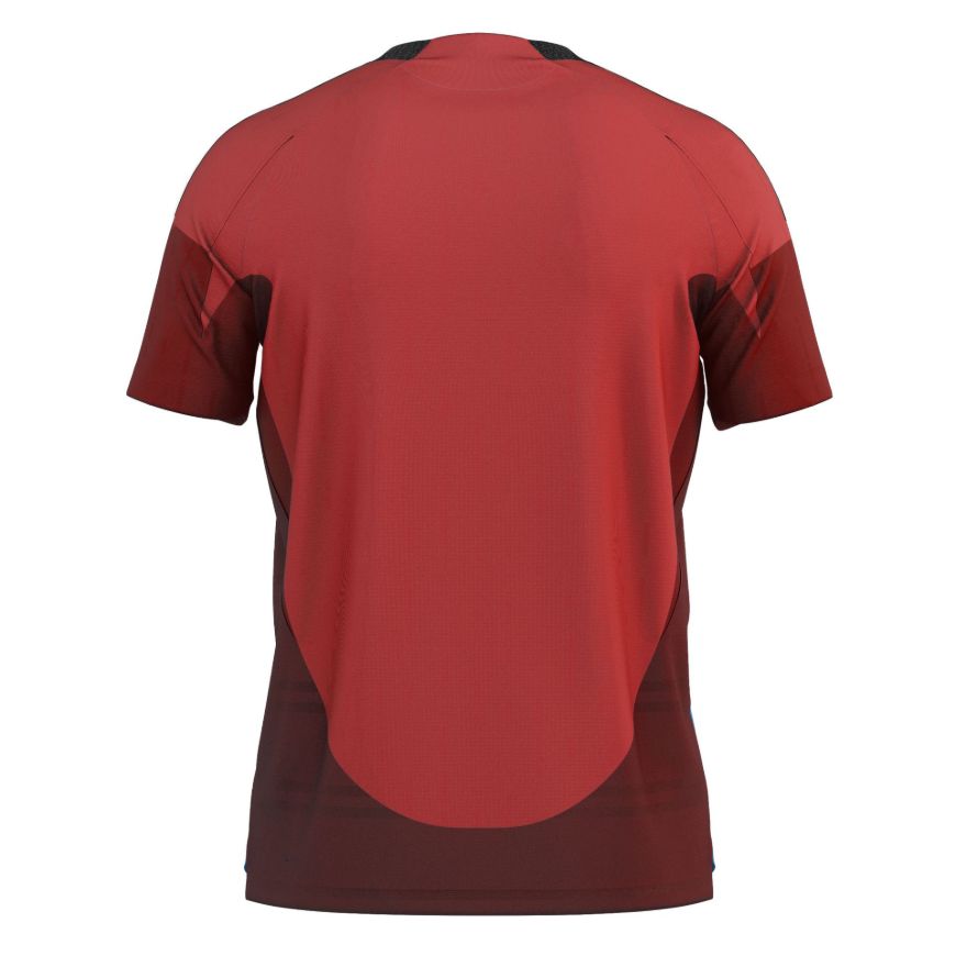 Picture of 2025-26 Toronto Home Soccer Jersey.